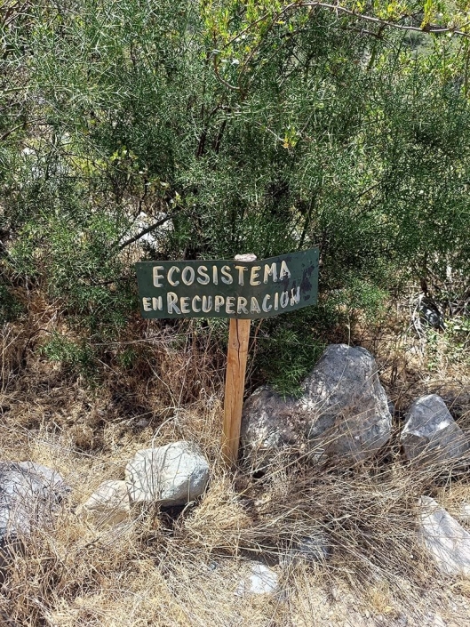 Ecosistema en recuperacion_2024