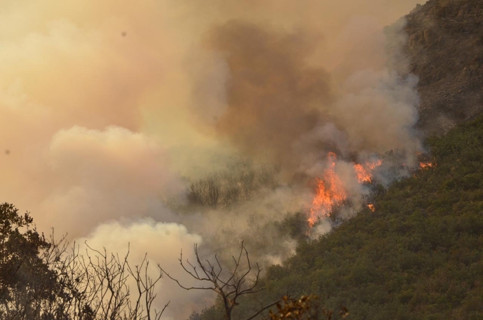 Incendio 2016