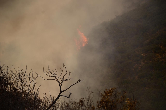 Vista a ladera Incendio 2016