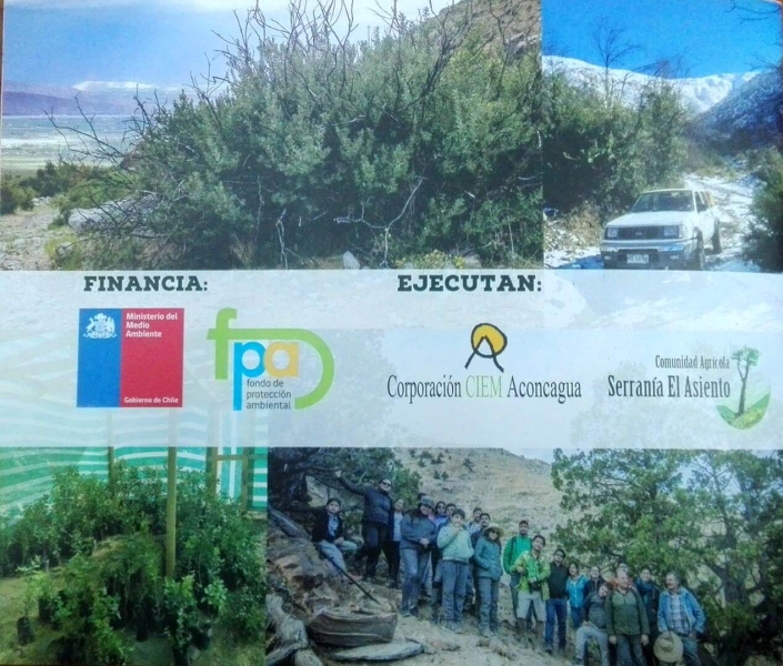 Regenerando ecosistemas contratapa