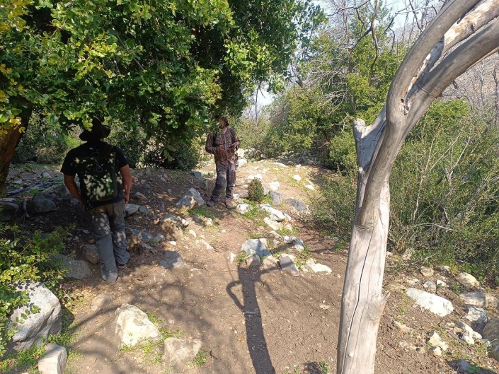 Bosque de Peumos 2024